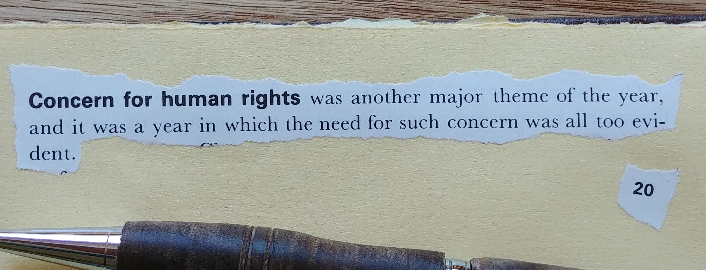 human
                rights quote